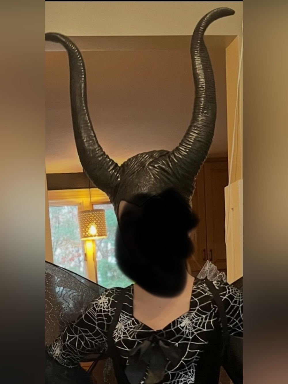 Halloween Costume Accessories Black Horns Maleficent/ Spider & Butterfly Wings
